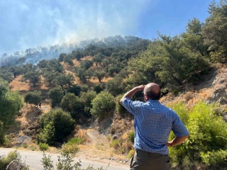 Aydın'da Zeytinlik Yangınında Hava Motoru İlk Kez Kullanıldı