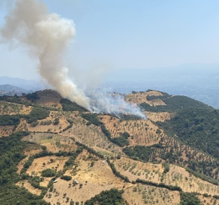Aydın'daki Zirai Yangına Müdahale