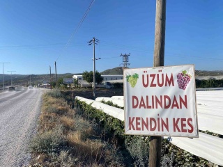 Bağdan Dalına: Taze Ürünlerin Büyüsü