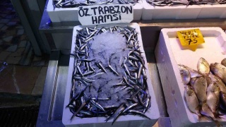 Balıkçıların Hamsi Endişesi: Göç Erken mi Bitiyor?