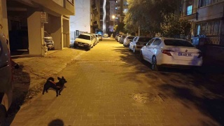 Balıkesir'deki Deprem Aydın'da Panik Yarattı