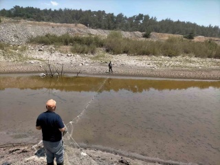 Balıkların Hayatta Kalma Mücadelesi ve Doğa Dostu Çalışmalar Soma'da