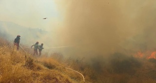 Balkanlar'da Yangın Alarmı: Sıcak Hava Dalgası Tehlike Saçıyor