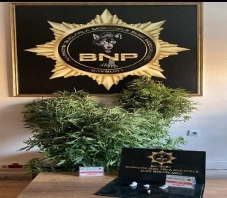 Bayburt'ta Uyuşturucuya Geçit Yok: Operasyonun Detayları