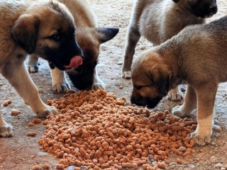 Bilecik Belediyesi’nden Dayanışma Desteği