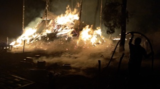 Bilecik’te Orman Yangınları Gittikçe Çoğalıyor