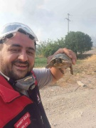 Bilecik'te Yangın Mağduru Hayvanlara Yardım Eli