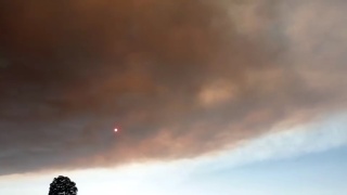 Bilecik'te Yeniden Alevlenen Yangın Çevre İllerde Endişeye Yol Açıyor