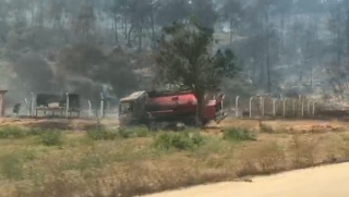 Bilecik'teki Orman Yangını İtfaiyecilere Zor Anlar Yaşattı