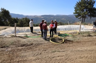 Bilecik'teki Orman Yangınlarının Ardından Zarar Tespit Çalışmaları Başladı