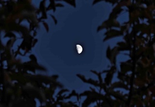 Bitlis'te Yarım Ayın Büyüleyici Dansı