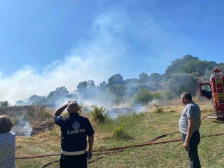 Bodrum'da Deve Otluğu Yangını Söndürüldü