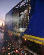 Bolu D-100 Karayolu'nda Yangın Paniği