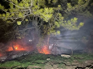 Bolu Mudurnu’da Orman Yangını Köylüler Tarafından Söndürüldü