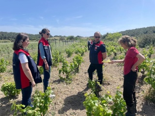 Bozcaada'da Tarımsal Kalkınma ve İskan Projesi Kapsamında Denetimler