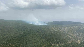 Bozdoğan ve Karacasu'da devam eden orman yangını söndürme çalışmaları