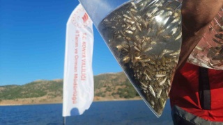 Bozkır'da Su Kaynakları Balıklandırılıyor