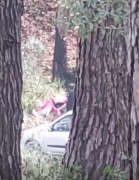 Buca'da Ormanda Yaşanan Şiddetin Ardındaki Gerçekler