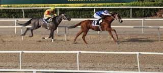 Bursa Büyükşehir Belediye Başkanlığı Koşusu'nda Tejon Melero Rüzgarı