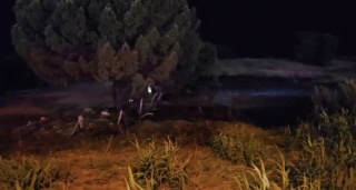 Bursa'da Düğünde Havai Fişek Yangını