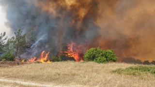 Bursa'da Orman Yangını Kontrol Altına Alındı
