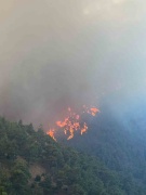 Bursa'da Tehlikeli Saatler: Orman Yangınları ve İlginç Gelişmeler