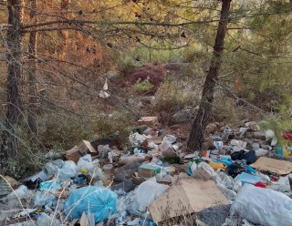 Çanakkale Ormanları: Çöp Yığını Tehlikesi