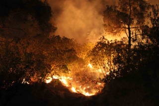 Çanakkale'de Orman Yangınına Karşı Gece Boyunca Müdahale