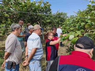Çanakkale'deki Kahverengi Kokarca İstilasıyla Mücadelede Samuray Arısı Hamlesi