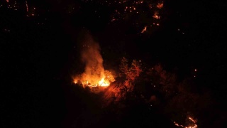 Çanakkale'deki Orman Yangını Kontrol Altında