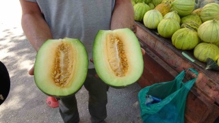 Çankırı'nın Tuzlu Toprağında Yetişen Tatlı Kavunlar