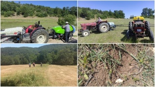 Çekirge Mücadelesi: Bursa'nın Tarım Arazilerini Koruma Çabaları