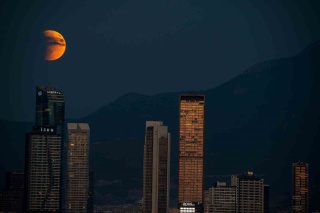 Çevrim İçi Alışverişin Psikolojik Etkileri: Bağımlılık ve Duygusal Yansımalar