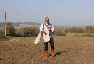 Çiftçilik Mirası: Körfez'de Tarımın Önemi