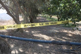 Cinayetin İzleri: Pamuk Sayesinde Adalet