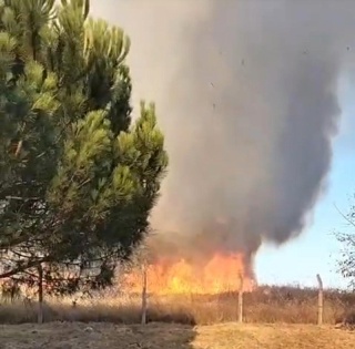 Çorlu'da Korkutan Yangın Söndürüldü