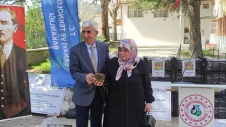 Çorum İskilip İlçesinde Çiftçilere 140 Bin Adet Çilek Fidesi Dağıtıldı