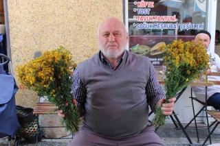 Dağlardan Sağlık: Sarı Kantaronun Mucizevi Faydaları