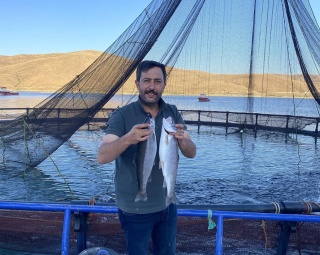 Demirözü'nün Alabalıkları Somona Dönüştü