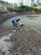 Denizli'de Balçıkta Mahsur Kalan Kuzu Kurtarıldı
