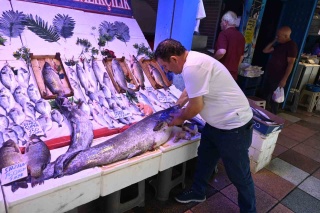 Dev Atıştırmalık: Eskişehir’de 40 Kiloluk Dev Yayın Balığı