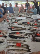 Didim'de İlk Balık Mezatı: Taze Deniz Ürünleriyle Dolu Bir Gün