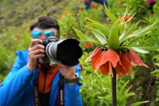 Doğa Harikası Ters Lalelerle Dolu Muş’a Fotoğraf Meraklıları Akın Ediyor