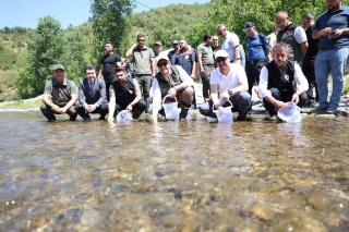 Düzce'de Doğaya Geri Dönüş: Benekli Alabalık ve Kukumav Kuşları