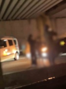 Düzce'de Trafiği Kapatan Gençlerin Macerası