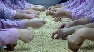 Düzce’den Avrupa’ya Fındık İhracatı Yükseliyor