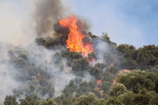 Efeler'de Çıkan Yangın Kontrol Altında