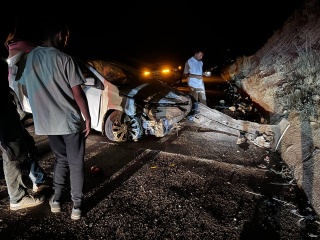 Elazığ-Bingöl Karayolunda Hayvana Çarpmamak İsterken Kaza