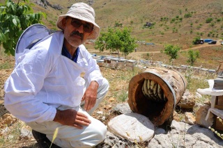 Engizek Yaylası'nda Doğal Kütük Balı Üretimi