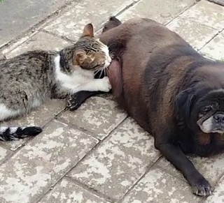 Erzurum'da Şaşırtıcı Bir Dostluk Hikayesi